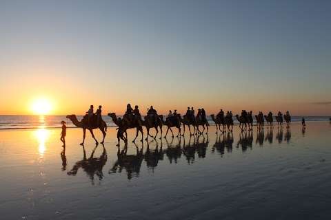 Photo: Ships of the Desert - Cable Beach Camel Tours